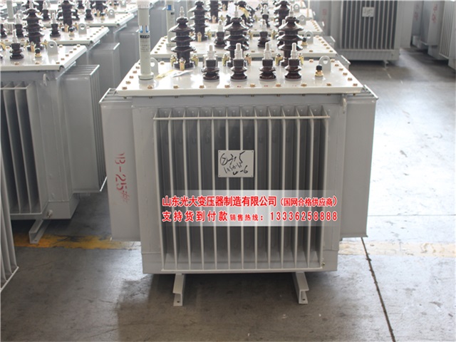 洛隆油浸式电力变压器库存